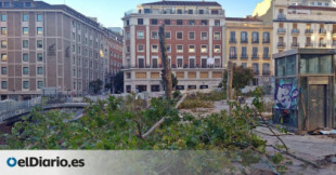 Tala de 28 árboles junto a Gran Vía en una plaza que el Ayuntamiento de Madrid prometió "más verde"