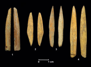 Sofisticados proyectiles de piedra de 45.000 años en Sri Lanka