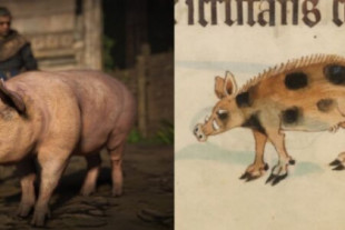 ¿Qué pasa con los cerdos medievales en los videojuegos? [ENG]