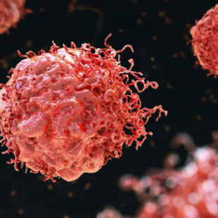 Éxito del primer ensayo en pacientes del fármaco Omomyc contra el cáncer