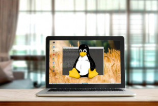 Qué es Linux: ventajas, diferencias con Windows y mejores distribuciones