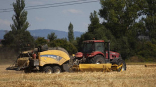 Una búsqueda en Google delata a un agricultor navarro que saboteó los tractores de sus vecinos