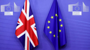Reino Unido incumple el acuerdo del Brexit sobre derechos de los ciudadanos de la UE, según organismo