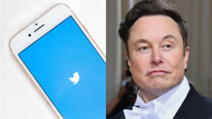 Empleados de Twitter presentan demanda colectiva por los despidos masivos de la gestión de Elon Musk