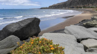 Detenido por abusos sexuales a su sobrina de 6 años en una playa de Gran Canaria