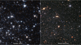El telescopio Webb muestra la galaxia enana Wolf-Lundmark-Melotte