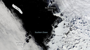 El iceberg más grande del mundo se escapa de la Antártida