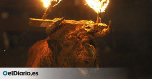 Pacma estudia medidas legales por el evento del Toro de Júbilo de Medinaceli (Soria), el “más bochornoso de la historia”