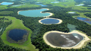 El Pantanal, el humedal más extenso del planeta, se seca