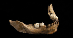 Encontrado el fósil humano más antiguo del sur de Cataluña