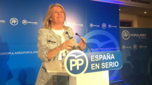 La alcaldesa de Marbella declaró menos de 45.000 € por su mansión tras ponerla a la venta por 12 millones