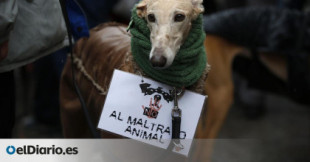 Unidas Podemos asegura haber llegado a un acuerdo con el PSOE para desbloquear la ley de Bienestar Animal