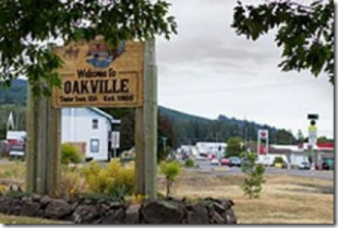Los misteriosos blobs de Oakville, Washington
