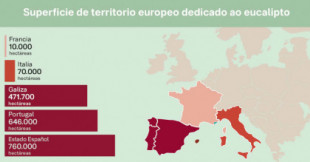 La superficie ocupada por el eucalipto en Galicia representa 31,7% de toda Europa (GAL)