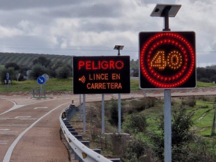 Las carreteras del Estado en Extremadura cuentan con un sistema de radiofrecuencia para evitar atropellos de lince