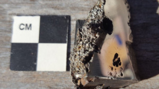 Hallan dos nuevos minerales en un meteorito de 15 toneladas métricas que impactó en África