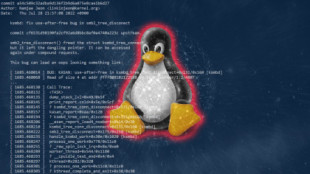 Publicada vulnerabilidad crítica (RCE sin autenticar) en kernel de Linux