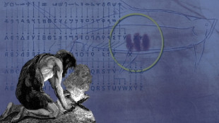 La teoría que sacude la prehistoria: una cueva de Asturias podría tener la primera escritura