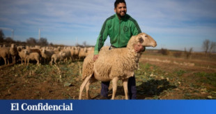 Abdul sí invierte en el campo español: cómo los migrantes están salvando al pastoreo de su final