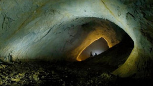 Esto es lo que se descubrió al abrir una cueva sellada durante 5 millones de años