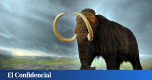 El primer mamut 'resucitado' llegará en 2027