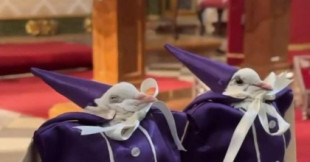 Denuncian el uso de palomas con ropajes adheridos con pegamento y amarradas a tablones en una fiesta religiosa en Jaén