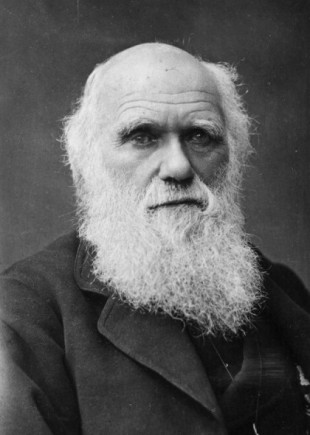 “Un nivel de degradación mayor que el de cualquier animal indefenso": el horror de Charles Darwin ante la esclavitud en Brasil y cómo marcó sus teorías