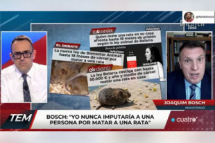 El magistrado Joaquim Bosch desmonta el bulo de que si matas a una rata irás a la cárcel