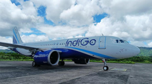 IndiGo, rival de Air India, espera otros 500 aviones 