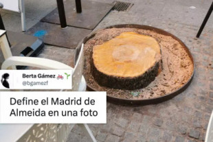 "Define el Madrid de Almeida en una foto": críticas por otro árbol que desaparece en el centro de la capital