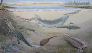 Nueva especie fósil de pez gigante depredador