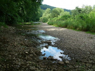 Cómo el Danubio desaparece por un sumidero y parte de sus aguas reaparecen para unirse al Rin e ir al Mar del Norte en lugar de al Mar Negro