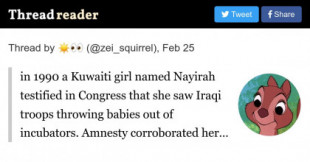 En 1990, una niña kuwaití llamada Nayirah testificó en el Congreso que vio a las tropas iraquíes arrojar bebés de las incubadoras [EN]
