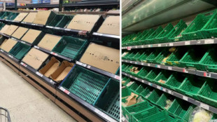 El Gobierno británico insta a sus ciudadanos a comer nabos ante la falta de productos frescos en los supermercados