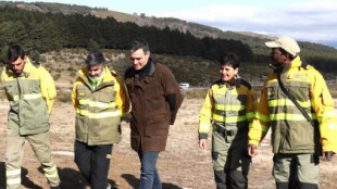 El Gobierno aprueba el estatuto laboral para los bomberos y agentes forestales