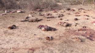 La investigación sobre los restos de animales de caza aparecidos en Pedrajas deriva en 4 denuncias