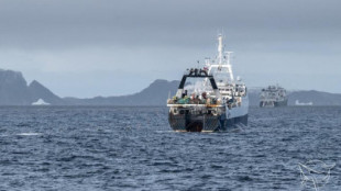 Así 'roban' el krill los grandes arrastreros a las ballenas de la Antártida