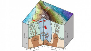 Vulcanólogos alertan de la presencia de un corazón caliente de magma bajo el Teide