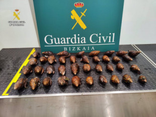 Intervenidos en el aeropuerto de Bilbao 38 caracoles gigantes africanos vivos, una especie invasora altamente peligrosa