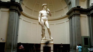 Galleria de la Academia de Florencia ha extendido una invitación al colegio de Tallahassee que despidió a la directora por enseñar la "pornográfica" escultura del David de Miguel Ángel [ENG]
