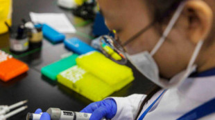 Ciencia: China desarrolla una batería que mata células tumorales