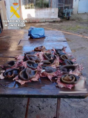 Investigado en Salamanca por caza indiscriminada de erizos y pesca ilegal, que grababa y colgaba en internet