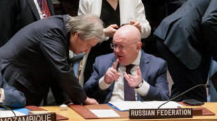 Rusia pondrá sobre la mesa del Consejo de Seguridad de ONU la cuestión del Sáhara Occidental