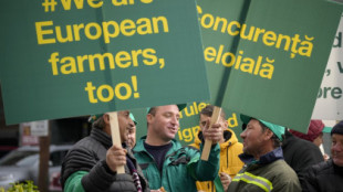 Agricultores rumanos y búlgaros protestan contra las importaciones de cereales desde Ucrania