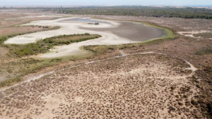 El Gobierno abre la puerta a intervenir en Doñana y aplicar un '155 ambiental'