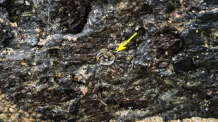 Hallan fósiles marinos de 480 millones de años en el Xeoparque do Cabo Ortegal