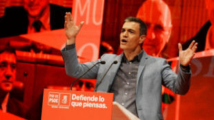 Sánchez anuncia 50.000 viviendas de alquiler "a precio asequible" a través de la Sareb