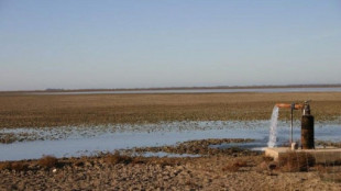 La Junta responde oficialmente a la UE: el acuífero de Doñana no se toca