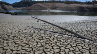 Cataluña prohibirá el riego agrícola y de usos recreativos en septiembre si no llueve