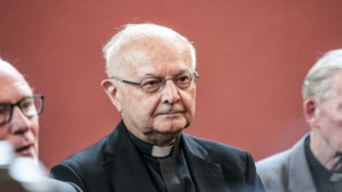 El expresidente del episcopado alemán confiesa haber encubierto cientos de abusos